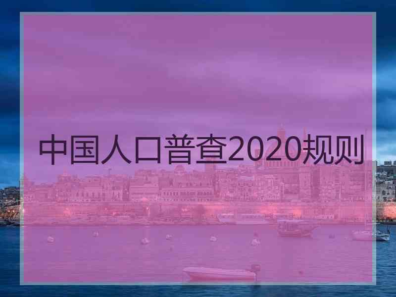 中国人口普查2020规则 中国人口普查2020规则
