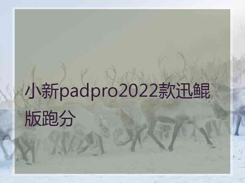 小新padpro2022款迅鲲版跑分 小新padpro2022款迅鲲版跑分