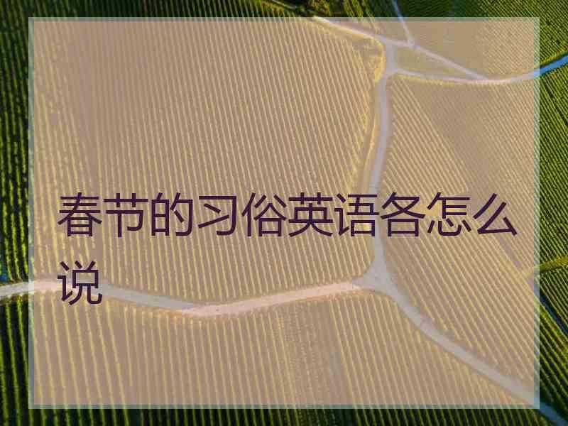 春节的习俗英语各怎么说 春节的习俗英语各怎么说