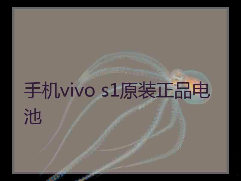 手机vivo s1原装正品电池 手机vivo s1原装正品电池