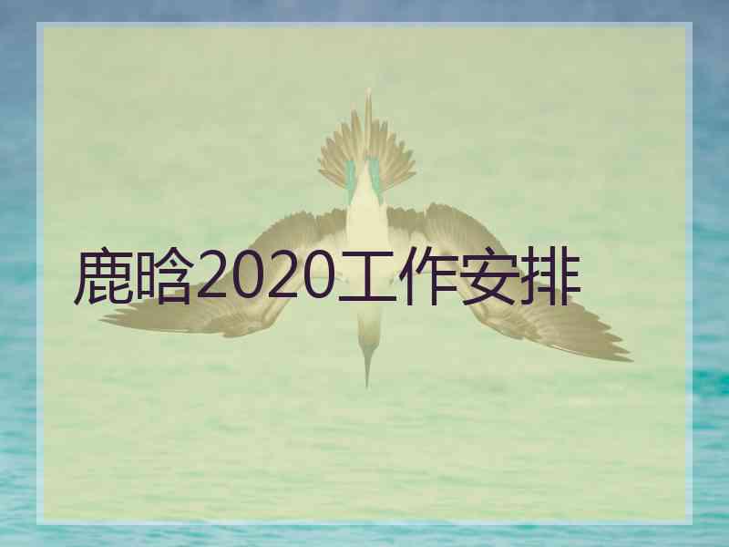 鹿晗2020工作安排