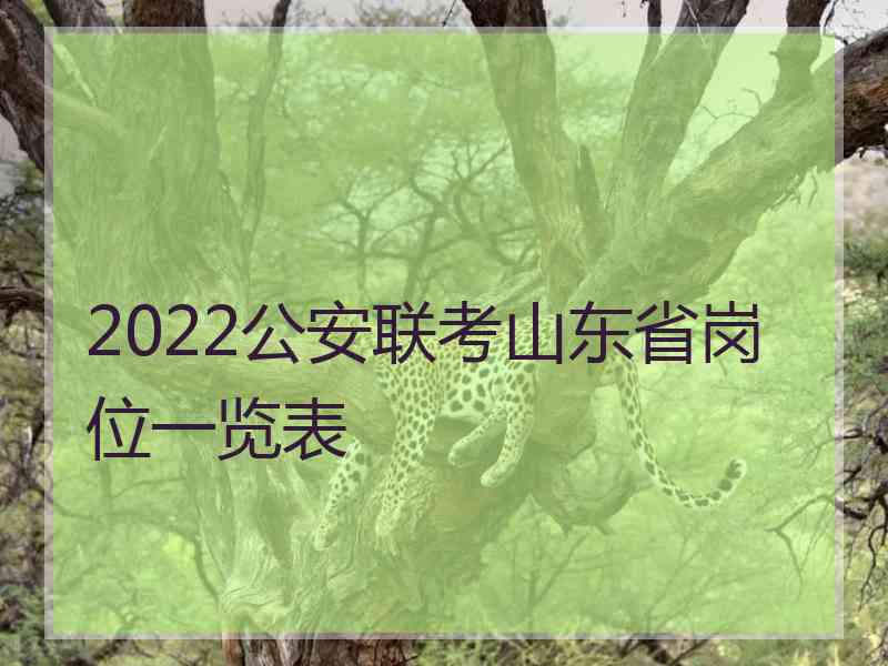 2022公安联考山东省岗位一览表 2022公安联考山东省岗位一览表