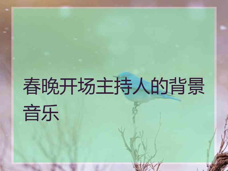 春晚开场主持人的背景音乐 春晚开场主持人的背景音乐