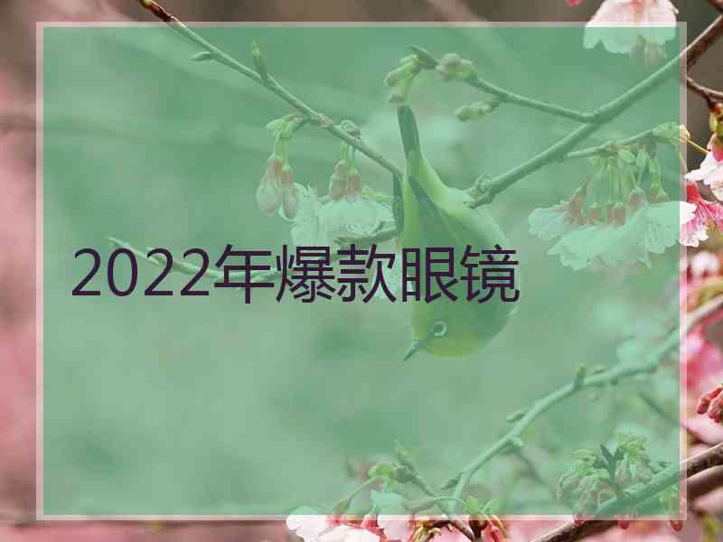2022年爆款眼镜 2022年爆款眼镜