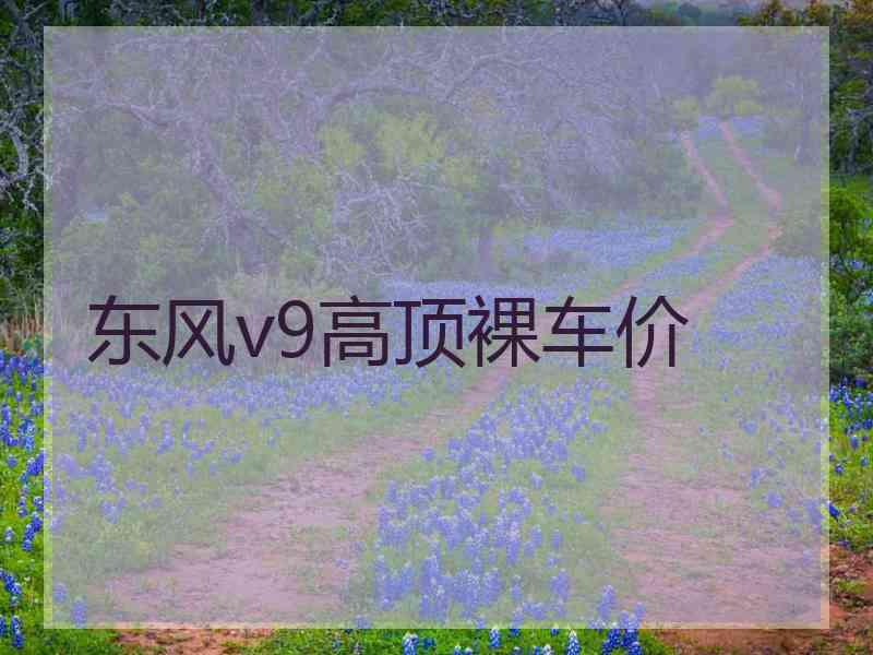 东风v9高顶裸车价