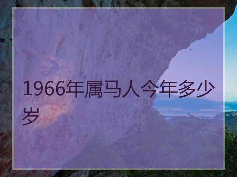 1966年属马人今年多少岁 1966年属马人今年多少岁
