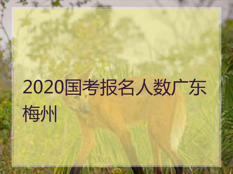 2020国考报名人数广东梅州