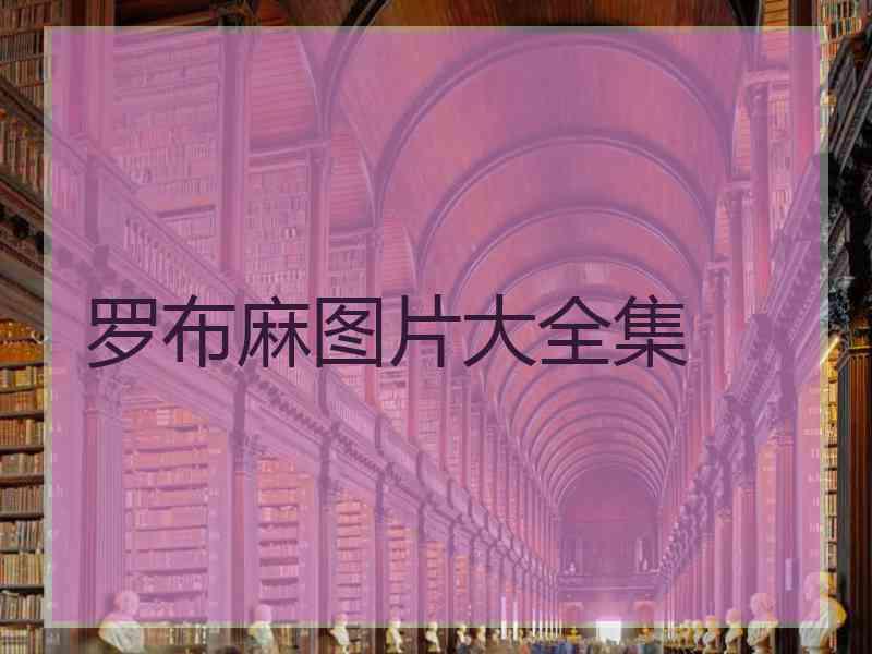 罗布麻图片大全集 罗布麻图片大全集