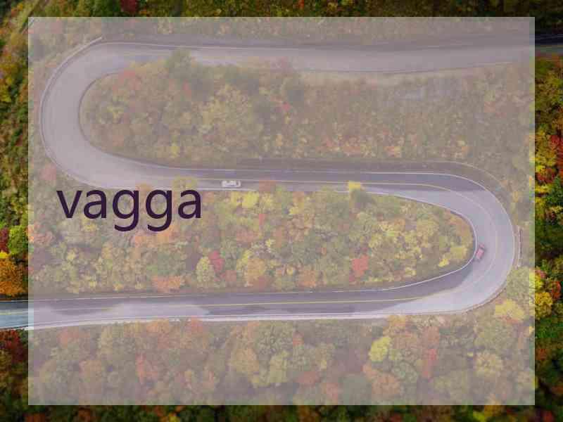 vagga