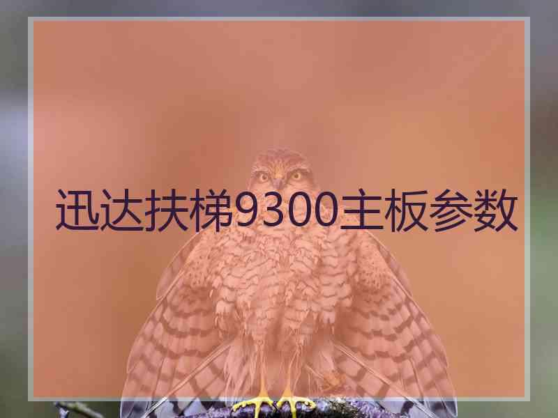 迅达扶梯9300主板参数 迅达扶梯9300主板参数