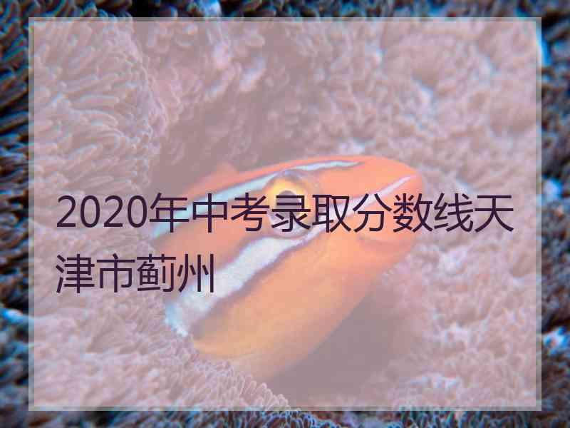 2020年中考录取分数线天津市蓟州 2020年中考录取分数线天津市蓟州