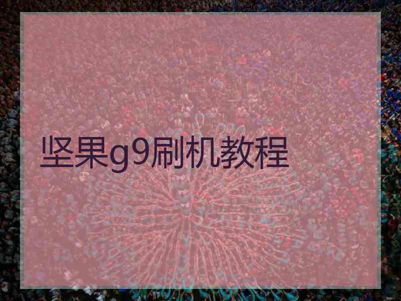 坚果g9刷机教程 坚果g9刷机教程