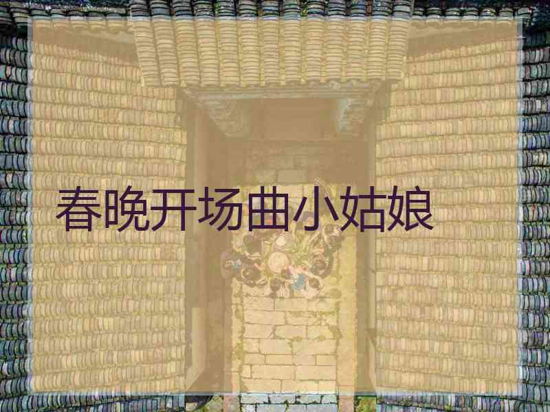 春晚开场曲小姑娘 春晚开场曲小姑娘