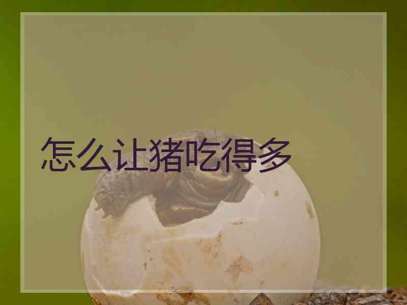 怎么让猪吃得多 怎么让猪吃得多