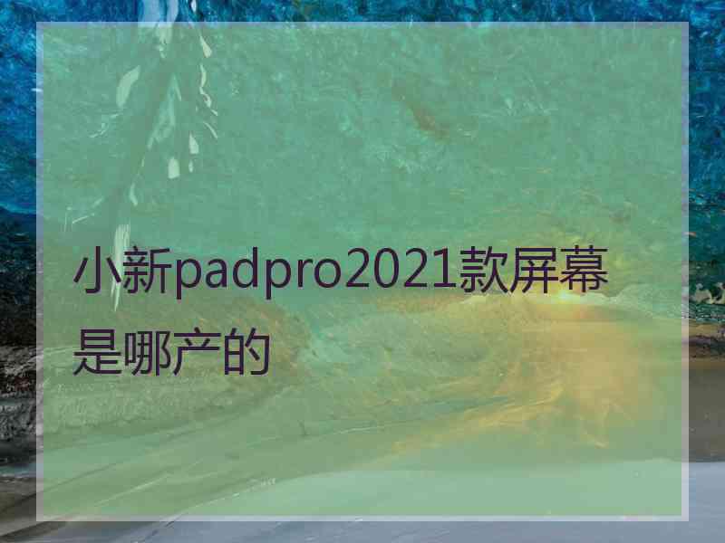 小新padpro2021款屏幕是哪产的 小新padpro2021款屏幕是哪产的