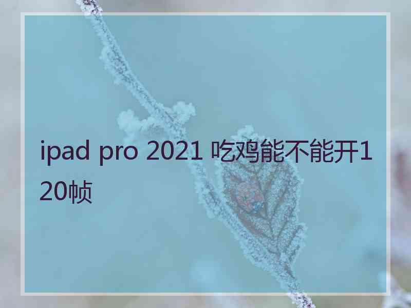 ipad pro 2021 吃鸡能不能开120帧 ipad pro 2021 吃鸡能不能开120帧