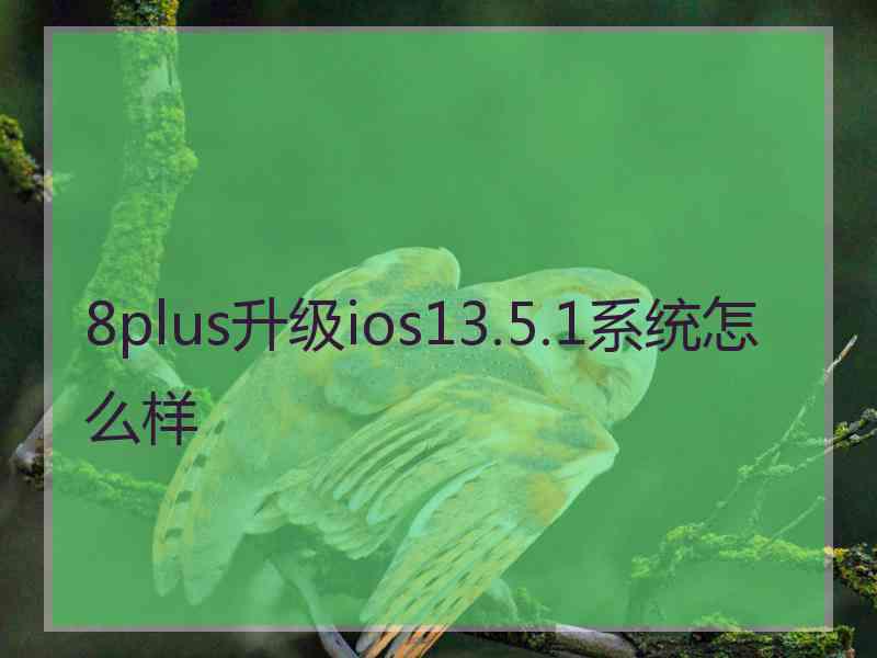 8plus升级ios13.5.1系统怎么样 8plus升级ios13.5.1系统怎么样