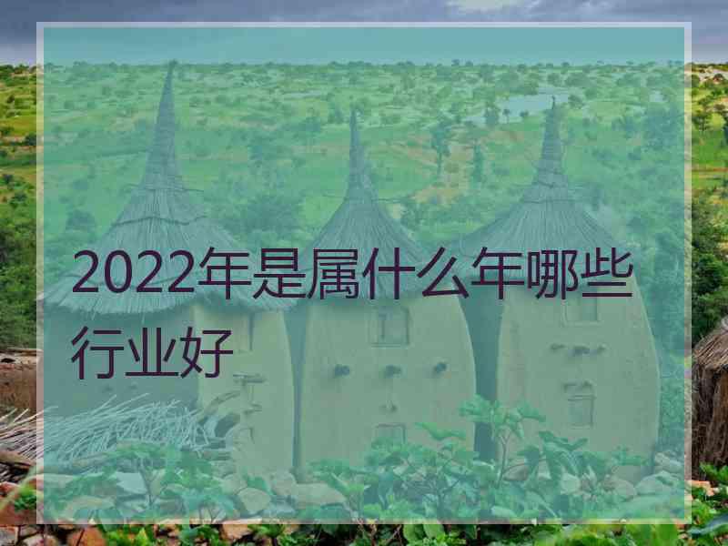 2022年是属什么年哪些行业好 2022年是属什么年哪些行业好