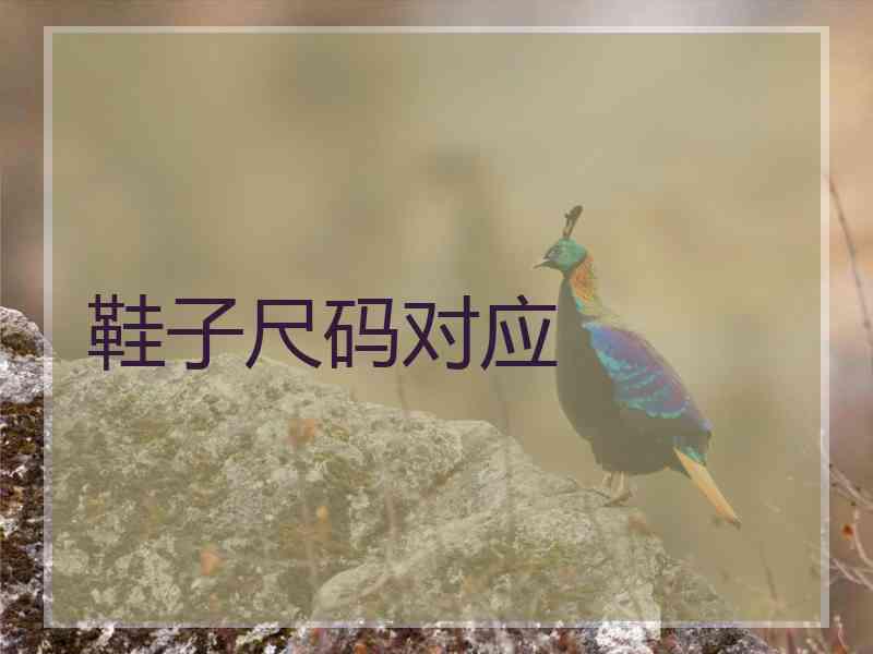 鞋子尺码对应 鞋子尺码对应