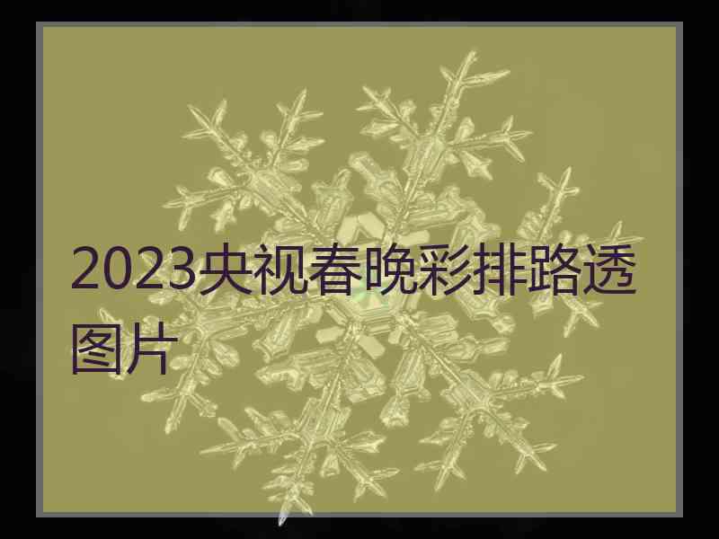 2023央视春晚彩排路透图片 2023央视春晚彩排路透图片