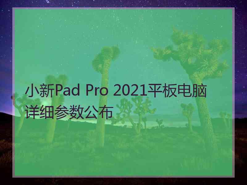 小新Pad Pro 2021平板电脑详细参数公布 小新Pad Pro 2021平板电脑详细参数公布