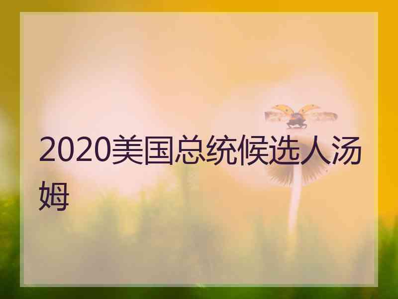 2020美国总统候选人汤姆 2020美国总统候选人汤姆