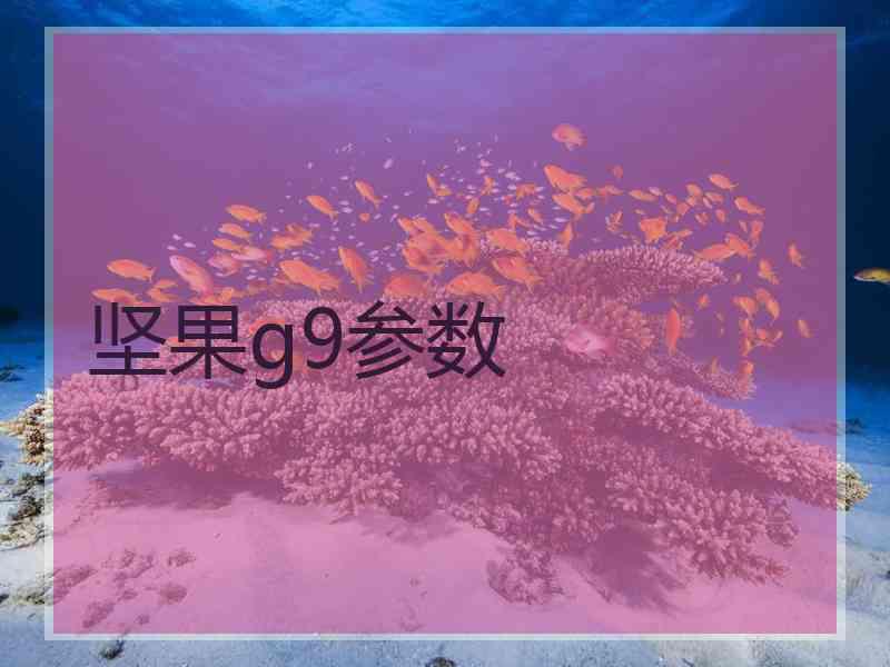 坚果g9参数