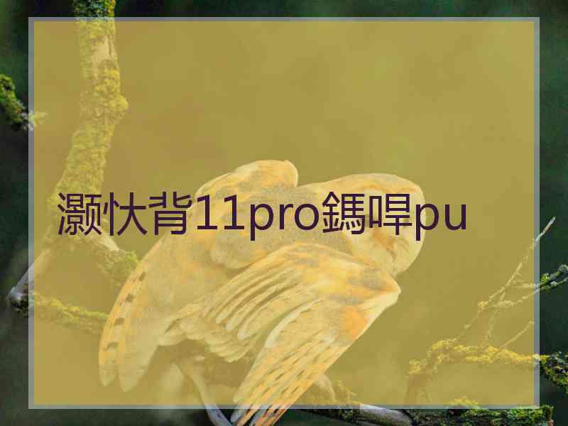 灏忕背11pro鎷哻pu 灏忕背11pro鎷哻pu