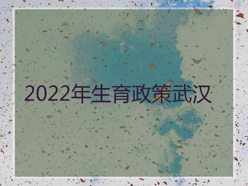 2022年生育政策武汉 2022年生育政策武汉
