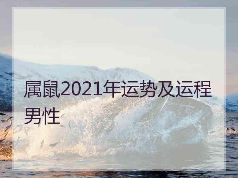 属鼠2021年运势及运程男性 属鼠2021年运势及运程男性