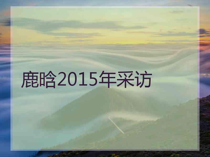 鹿晗2015年采访 鹿晗2015年采访