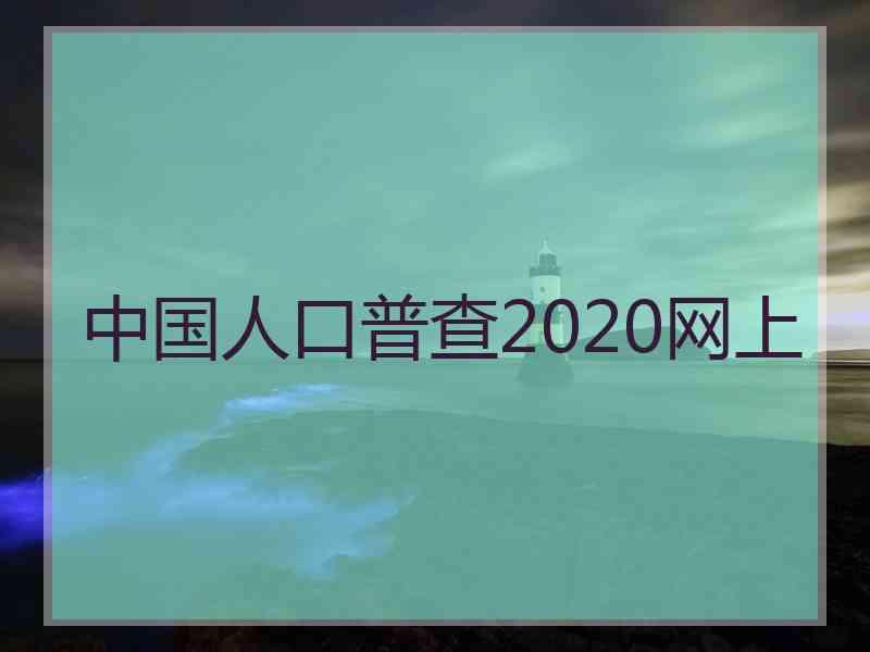 中国人口普查2020网上 中国人口普查2020网上
