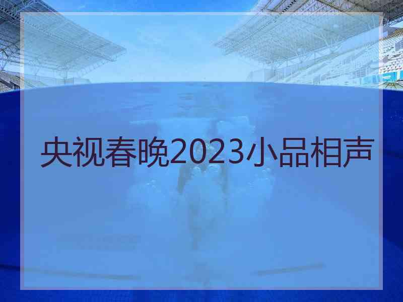 央视春晚2023小品相声