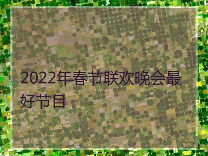 2022年春节联欢晚会最好节目