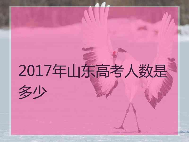 2017年山东高考人数是多少