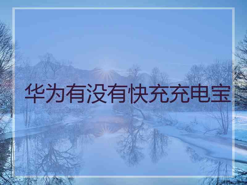 华为有没有快充充电宝