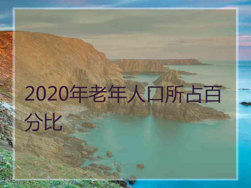 2020年老年人口所占百分比