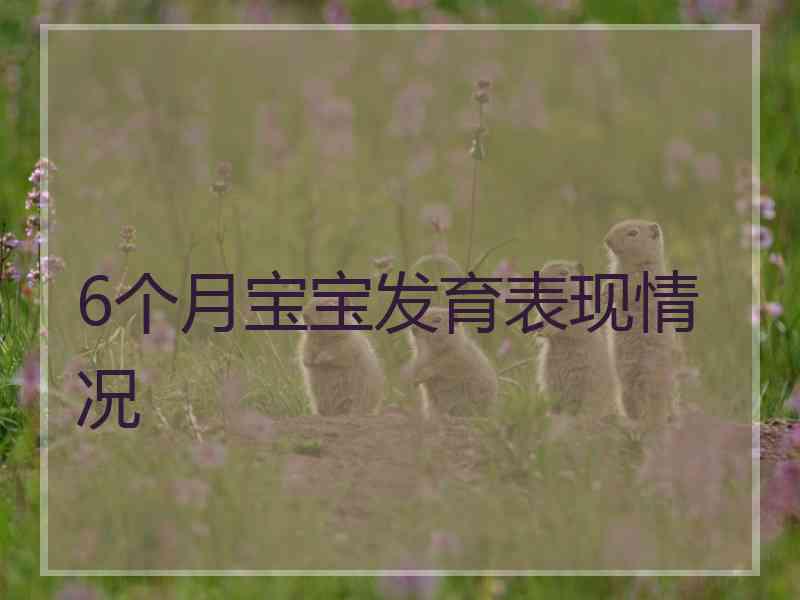 6个月宝宝发育表现情况