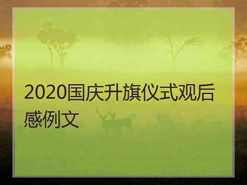 2020国庆升旗仪式观后感例文
