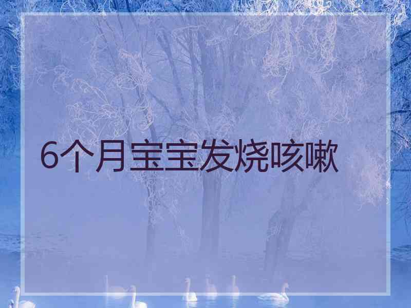 6个月宝宝发烧咳嗽