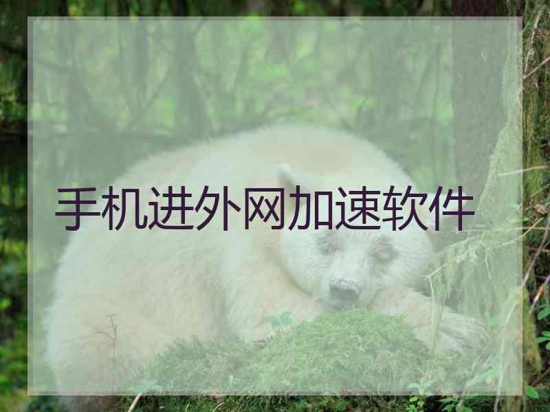 手机进外网加速软件