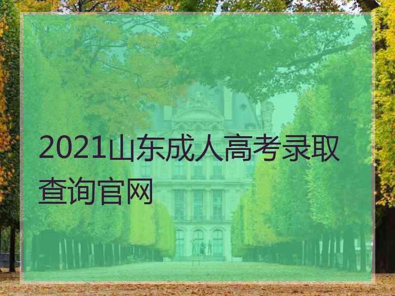 2021山东成人高考录取查询官网
