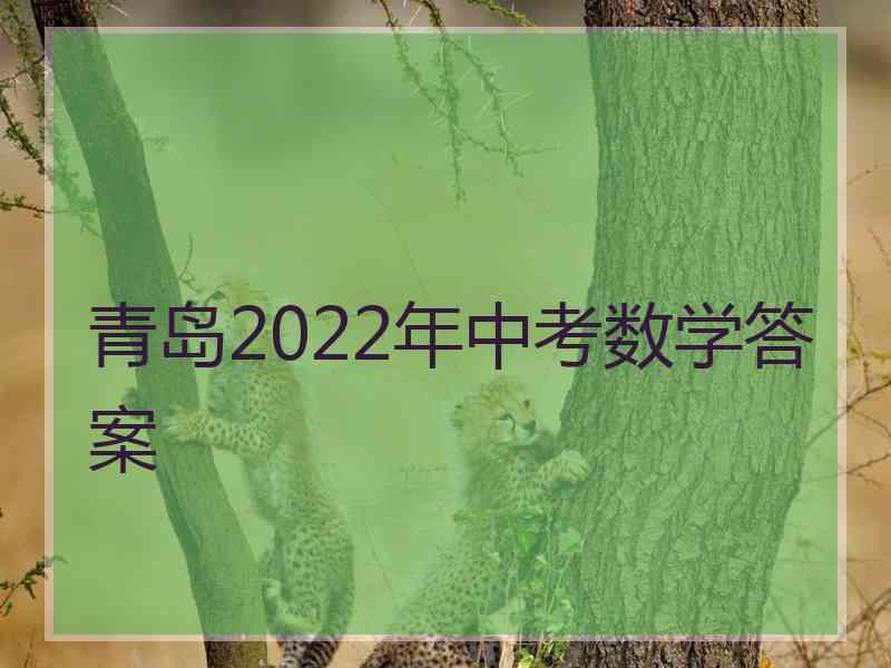 青岛2022年中考数学答案
