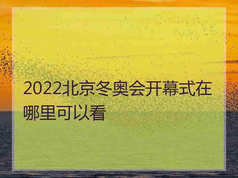 2022北京冬奥会开幕式在哪里可以看