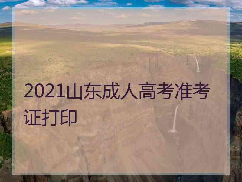 2021山东成人高考准考证打印