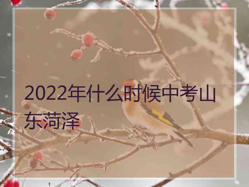 2022年什么时候中考山东菏泽