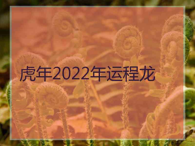 虎年2022年运程龙