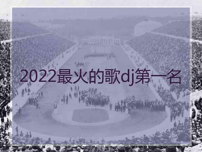 2022最火的歌dj第一名
