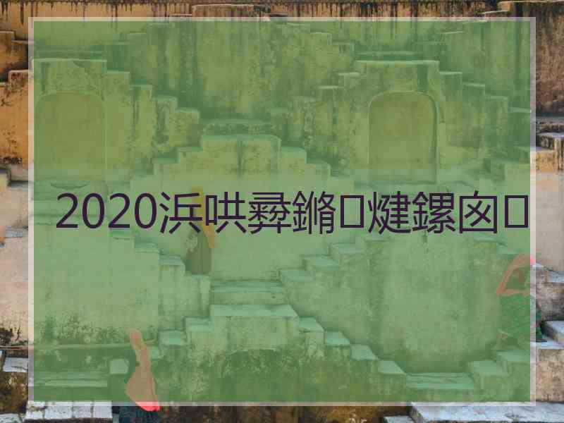 2020浜哄彛鏅煡鏍囪