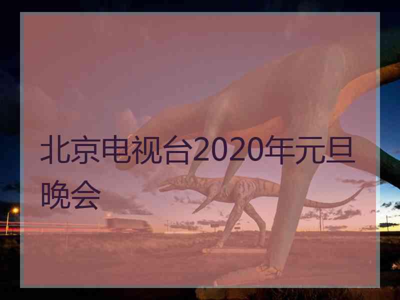 北京电视台2020年元旦晚会